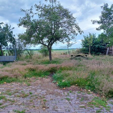 Logeerruimte In Gerenoveerde Boerderij In Wachtumアパートメント エクステリア 写真