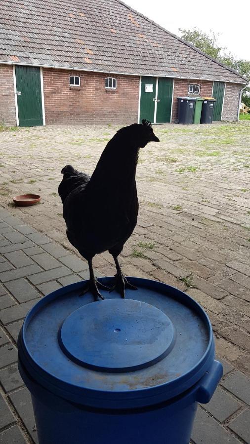 Logeerruimte In Gerenoveerde Boerderij In Wachtumアパートメント エクステリア 写真