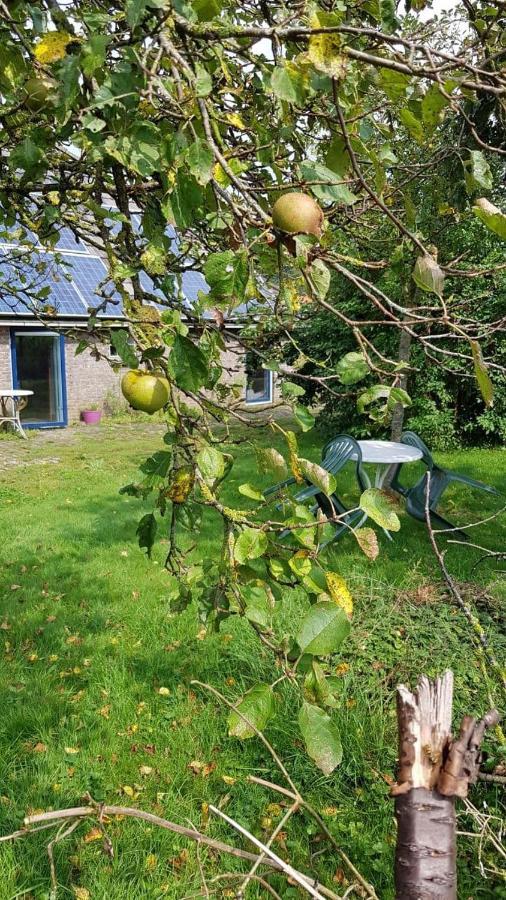 Logeerruimte In Gerenoveerde Boerderij In Wachtumアパートメント エクステリア 写真