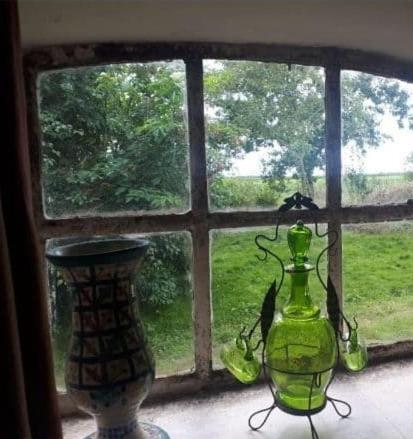 Logeerruimte In Gerenoveerde Boerderij In Wachtumアパートメント エクステリア 写真