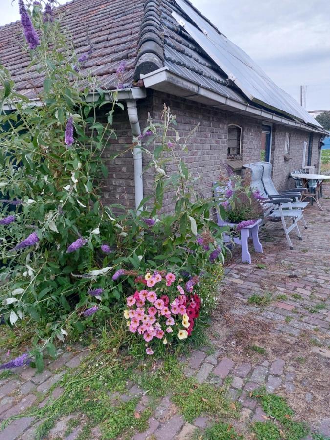 Logeerruimte In Gerenoveerde Boerderij In Wachtumアパートメント エクステリア 写真