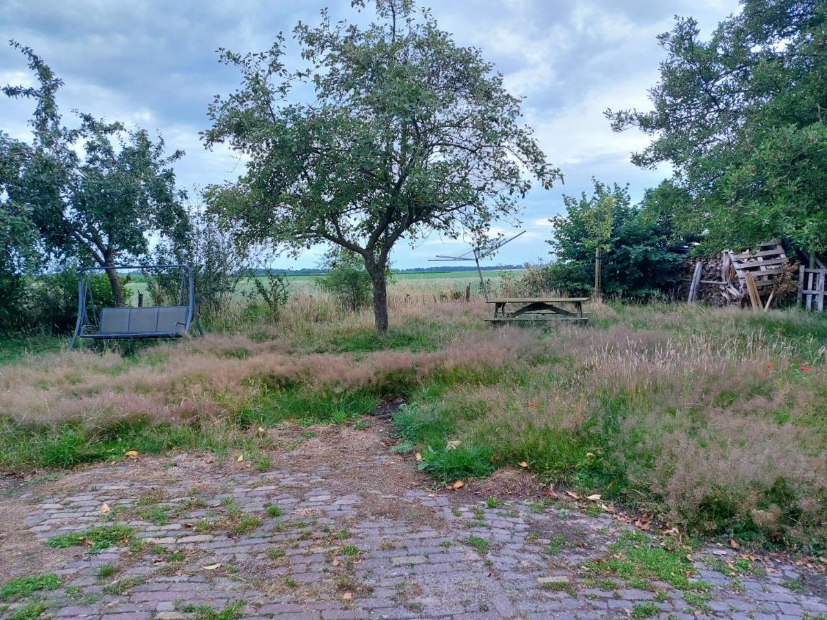 Logeerruimte In Gerenoveerde Boerderij In Wachtumアパートメント エクステリア 写真