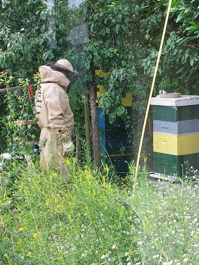 Logeerruimte In Gerenoveerde Boerderij In Wachtumアパートメント エクステリア 写真
