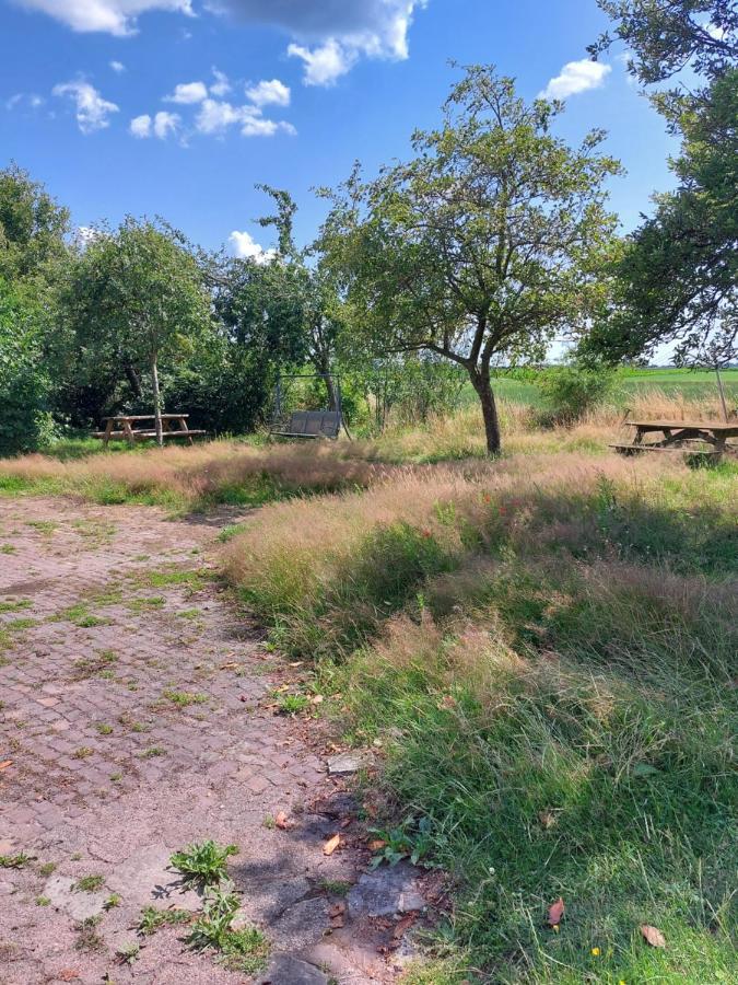 Logeerruimte In Gerenoveerde Boerderij In Wachtumアパートメント エクステリア 写真